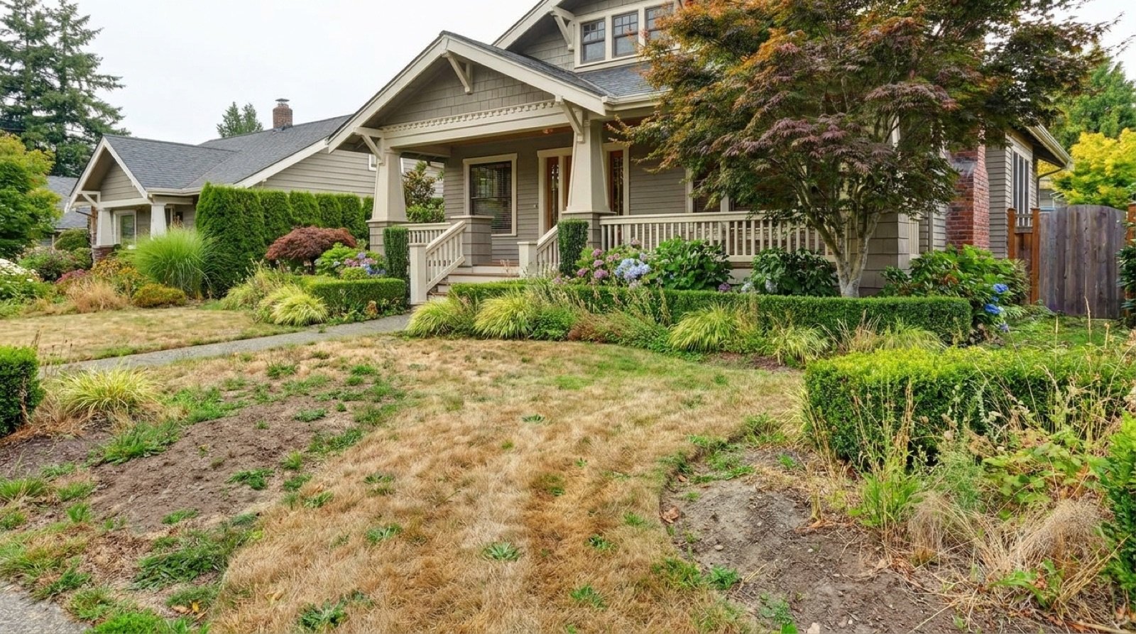 The same backyard before: patchy grass and an empty fence line